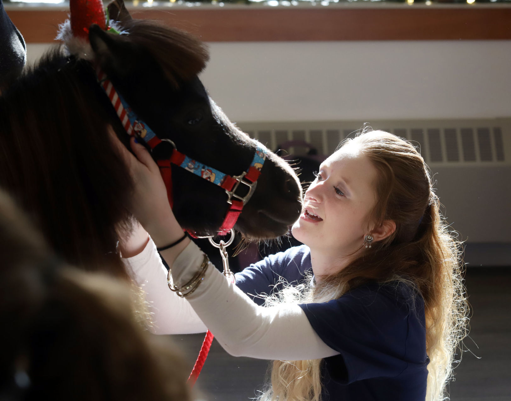 mini therapy horses 16 12.12.18.jpg